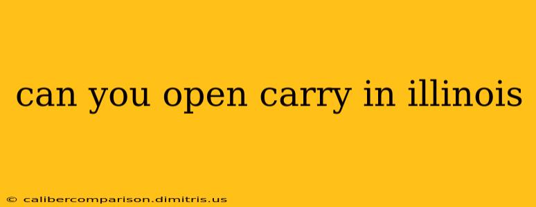 can you open carry in illinois