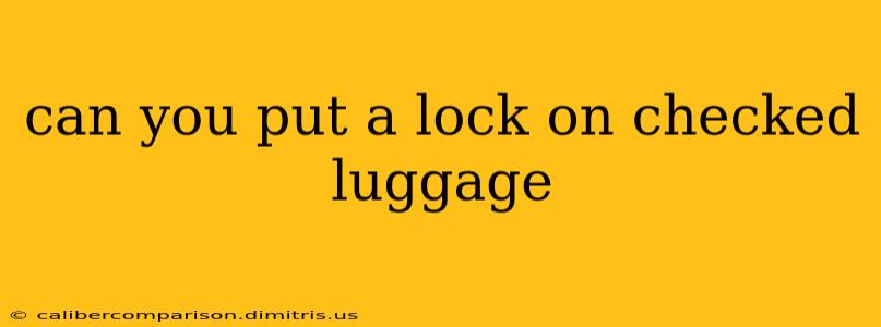 can you put a lock on checked luggage