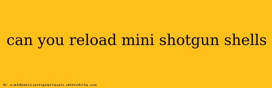 can you reload mini shotgun shells