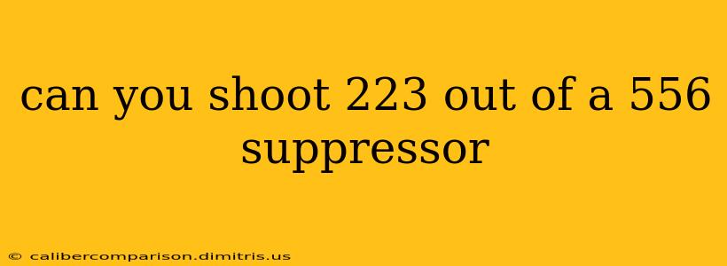 can you shoot 223 out of a 556 suppressor