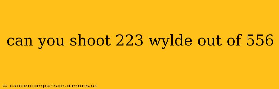 can you shoot 223 wylde out of 556