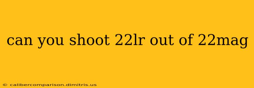 can you shoot 22lr out of 22mag