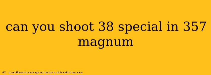 can you shoot 38 special in 357 magnum