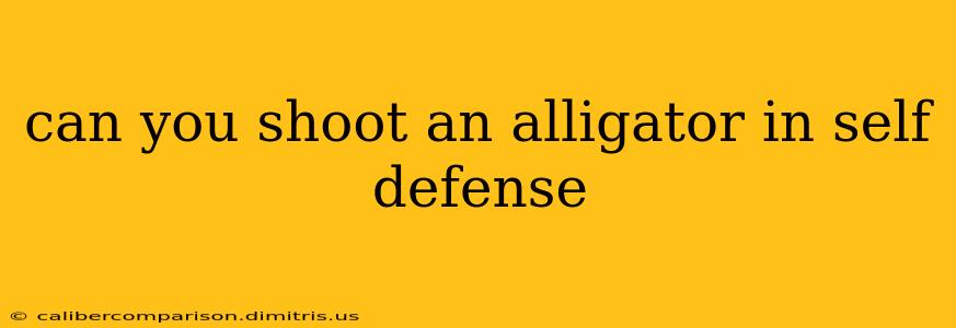 can you shoot an alligator in self defense