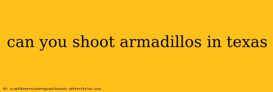 can you shoot armadillos in texas