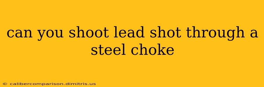 can you shoot lead shot through a steel choke