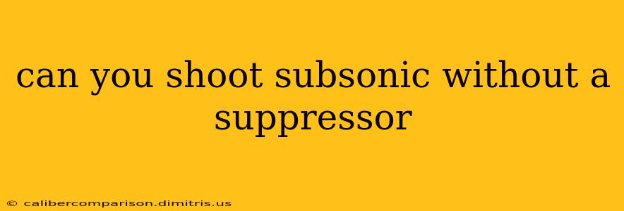 can you shoot subsonic without a suppressor