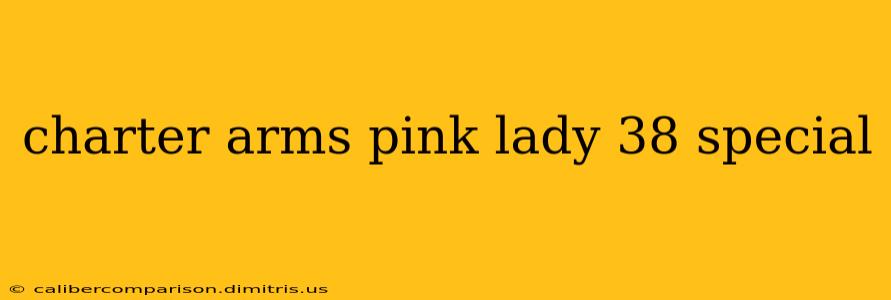 charter arms pink lady 38 special