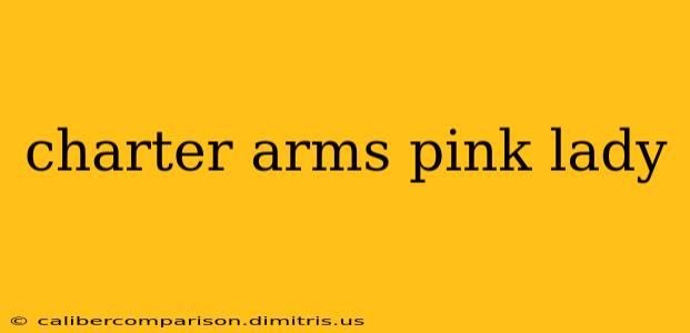 charter arms pink lady