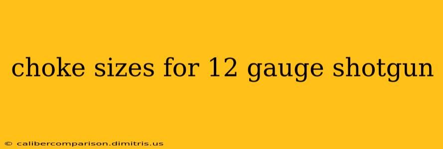 choke sizes for 12 gauge shotgun