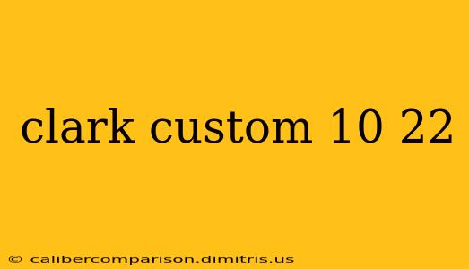 clark custom 10 22