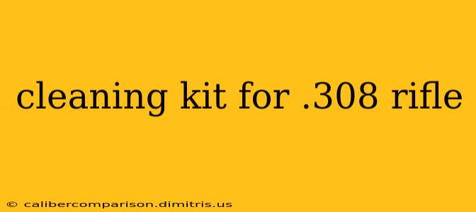 cleaning kit for .308 rifle