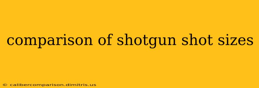 comparison of shotgun shot sizes