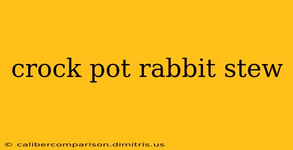 crock pot rabbit stew