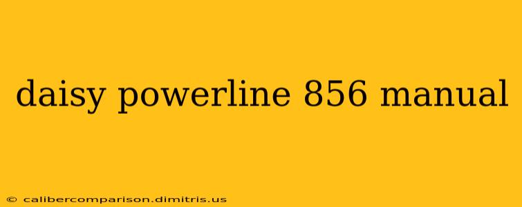 daisy powerline 856 manual