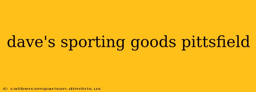 dave's sporting goods pittsfield