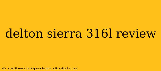 delton sierra 316l review