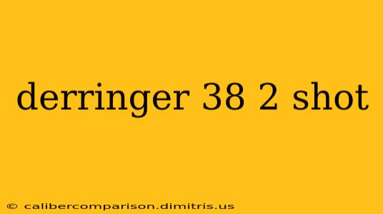 derringer 38 2 shot