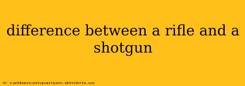 difference between a rifle and a shotgun