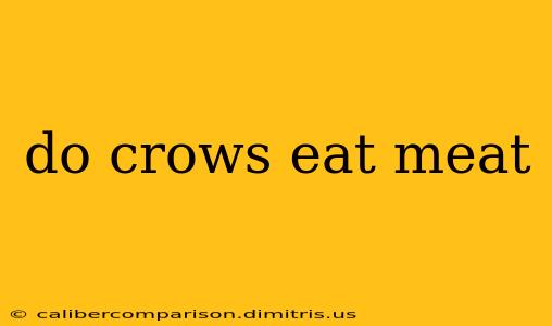 do crows eat meat