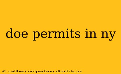 doe permits in ny