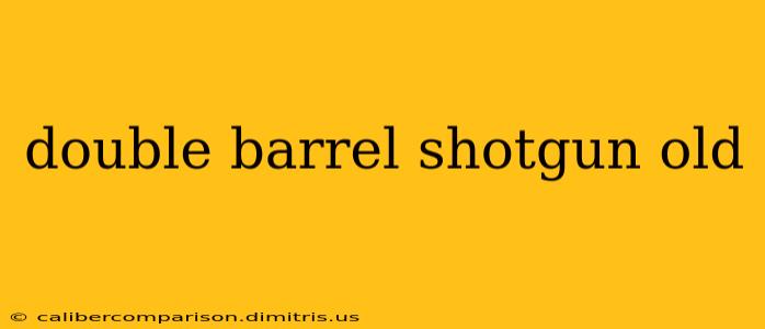 double barrel shotgun old