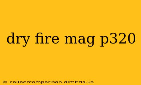 dry fire mag p320