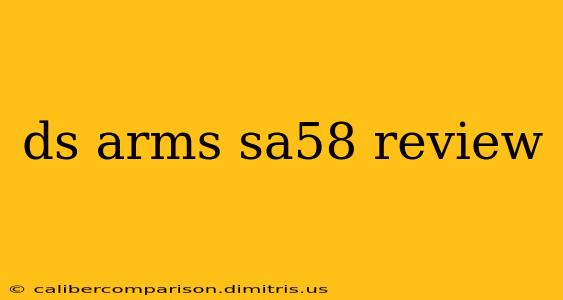 ds arms sa58 review