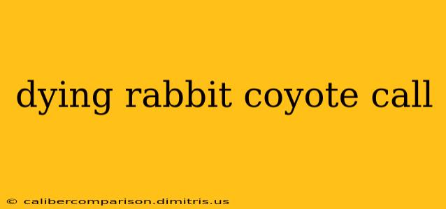 dying rabbit coyote call