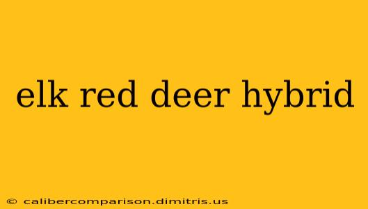 elk red deer hybrid