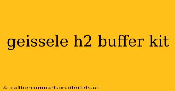 geissele h2 buffer kit