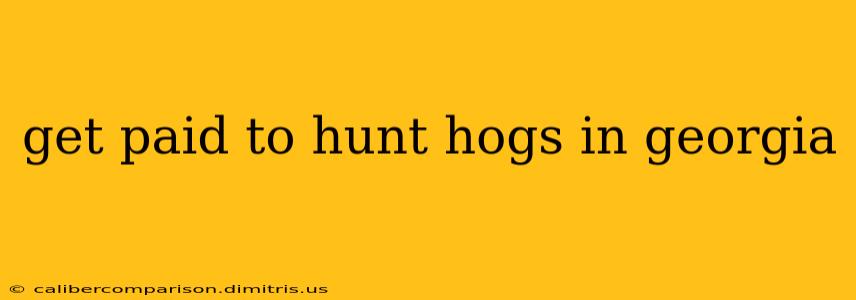 get paid to hunt hogs in georgia