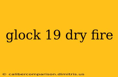 glock 19 dry fire