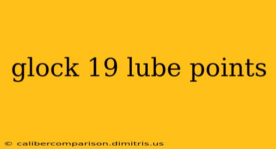 glock 19 lube points