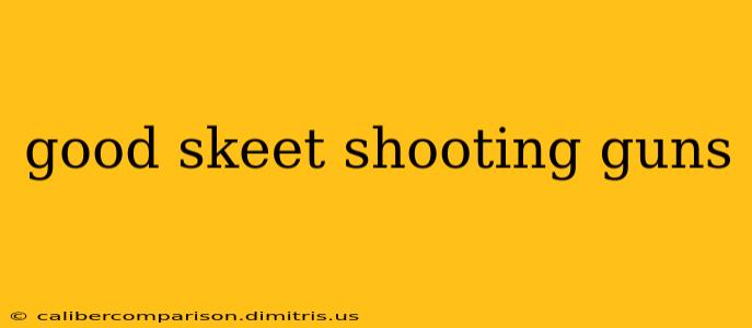 good skeet shooting guns