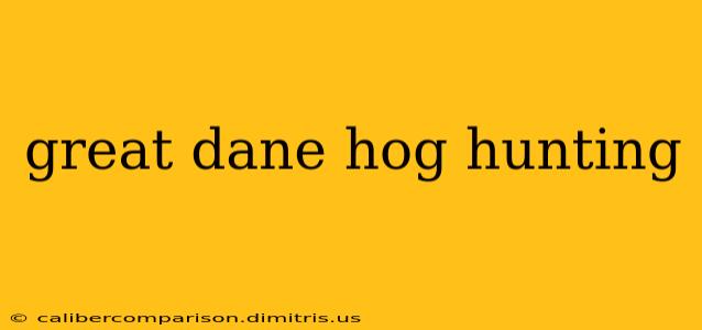 great dane hog hunting