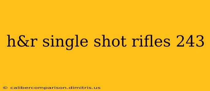 h&r single shot rifles 243