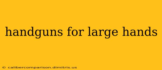 handguns for large hands