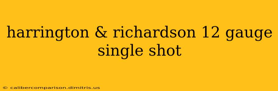 harrington & richardson 12 gauge single shot