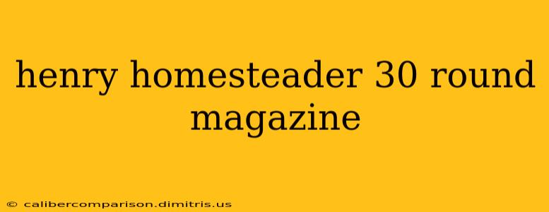 henry homesteader 30 round magazine