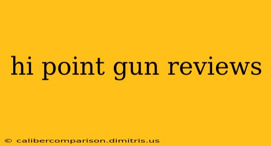 hi point gun reviews