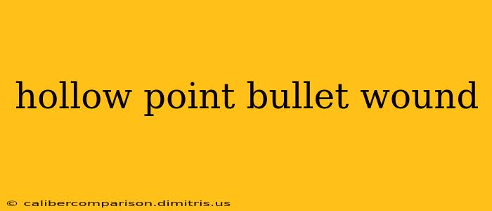 hollow point bullet wound