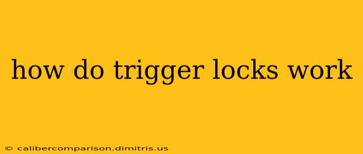 how do trigger locks work