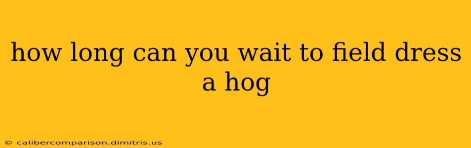 how long can you wait to field dress a hog