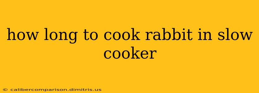 how long to cook rabbit in slow cooker