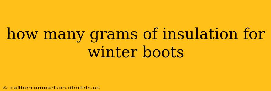 how many grams of insulation for winter boots