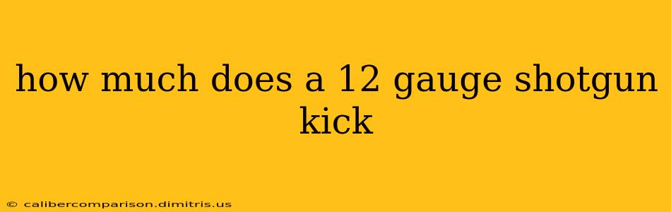 how much does a 12 gauge shotgun kick