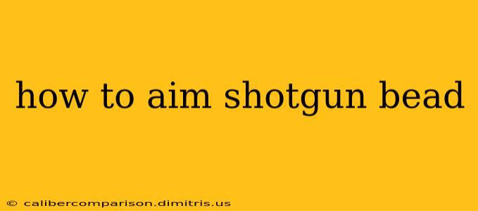 how to aim shotgun bead