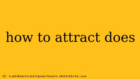 how to attract does