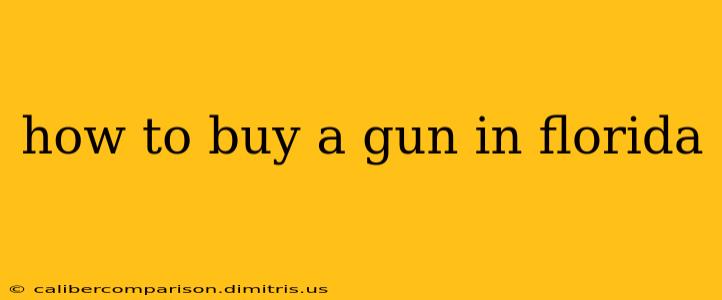 how to buy a gun in florida